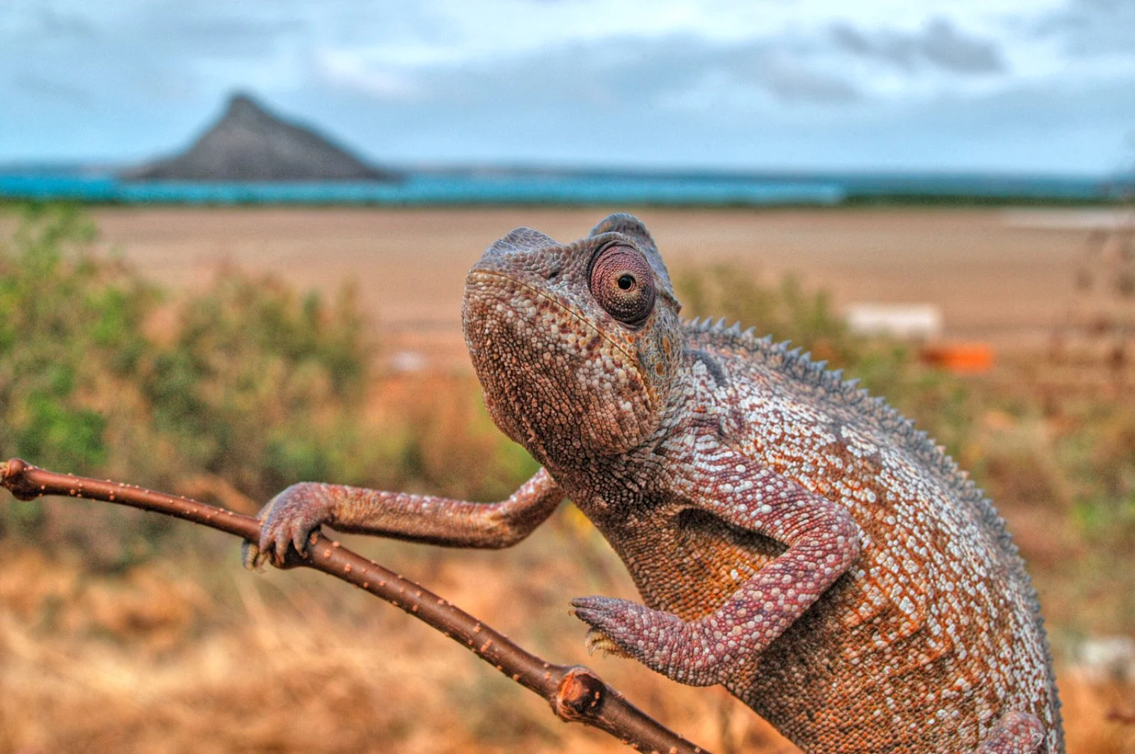 Tour Antakarana - Diego Suarez