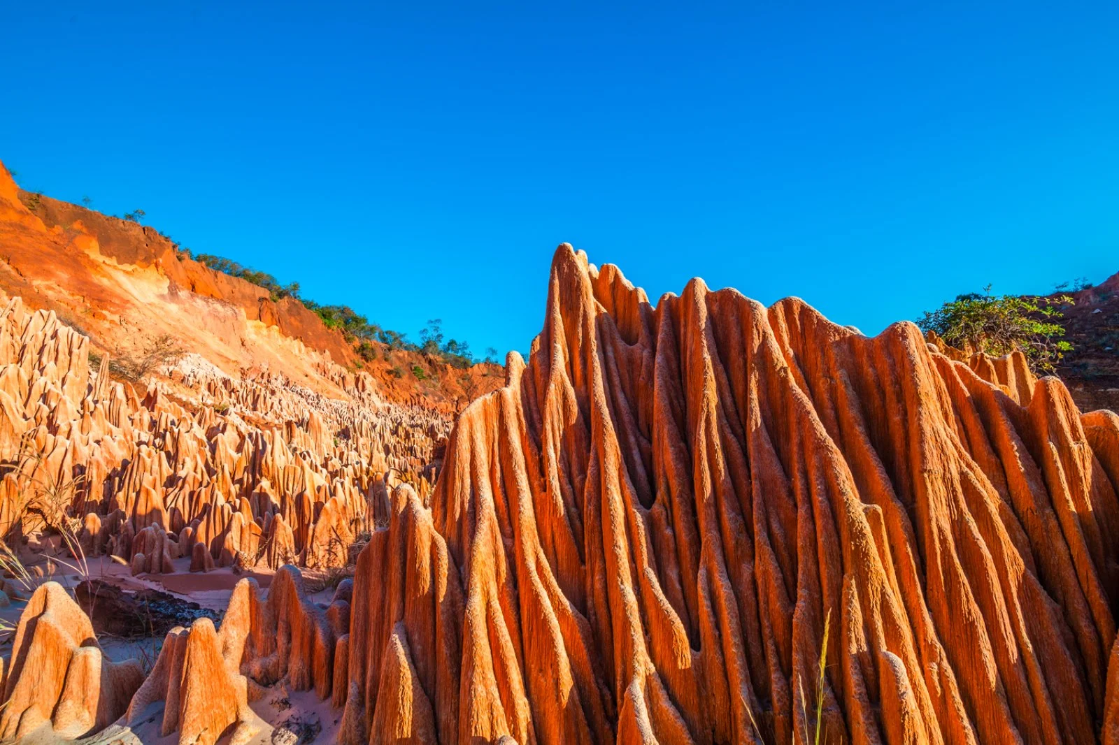 Tour Antakarana - Tsingy Rouge Park