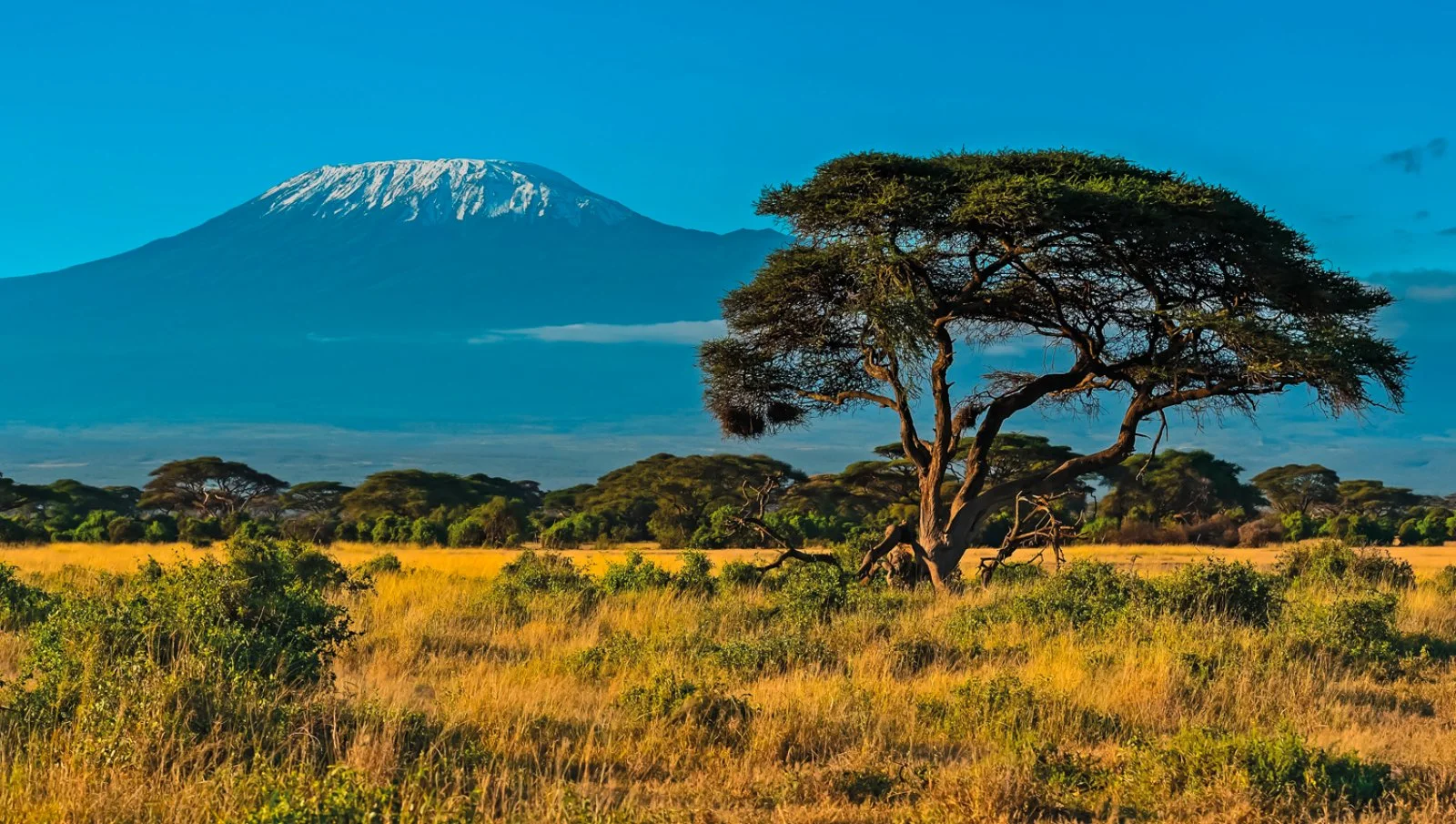 3° giorno: Parco Tsavo Ovest - Parco Amboseli (129 km)