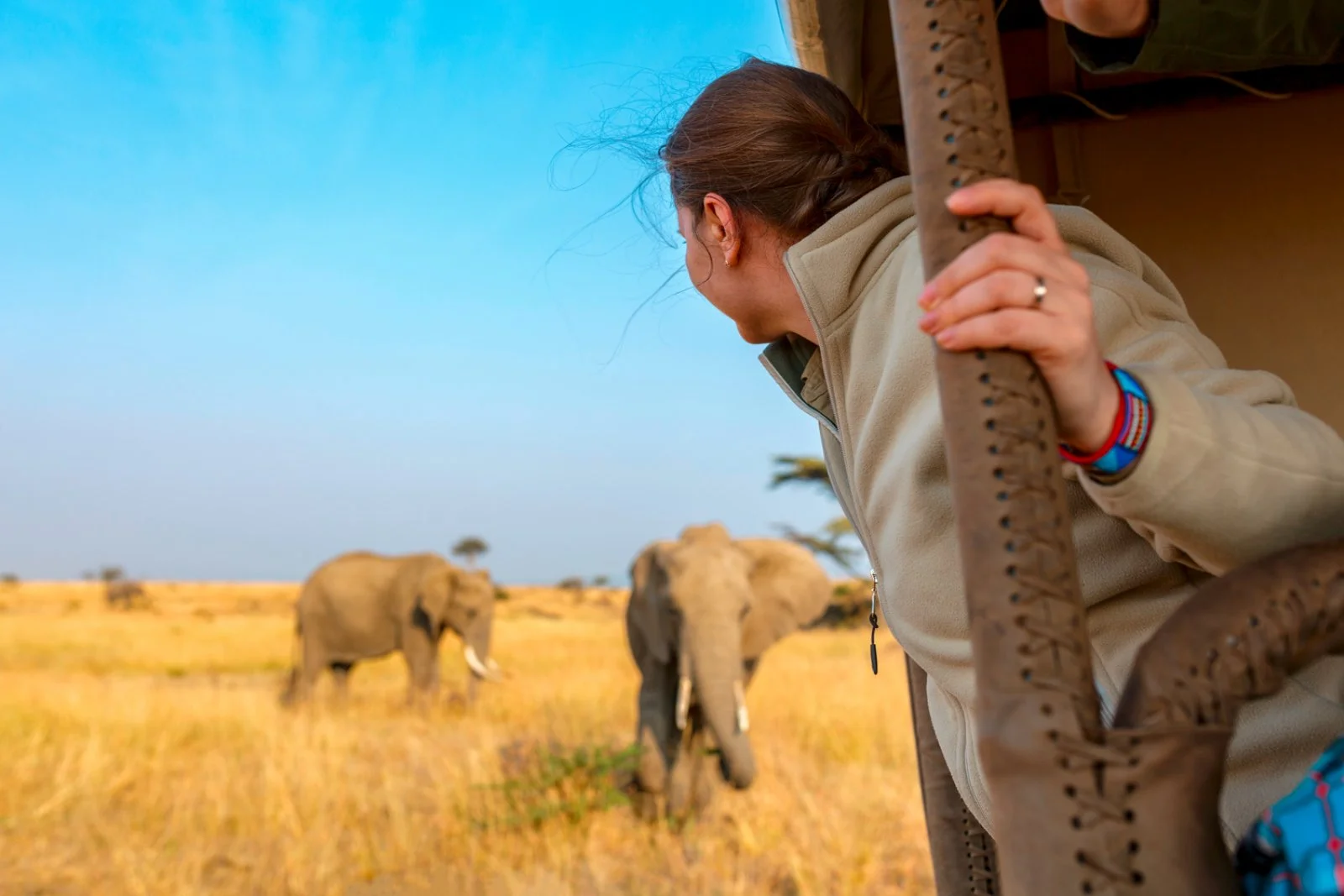 Safari Simba E Pumba Safari Simba E Pumba