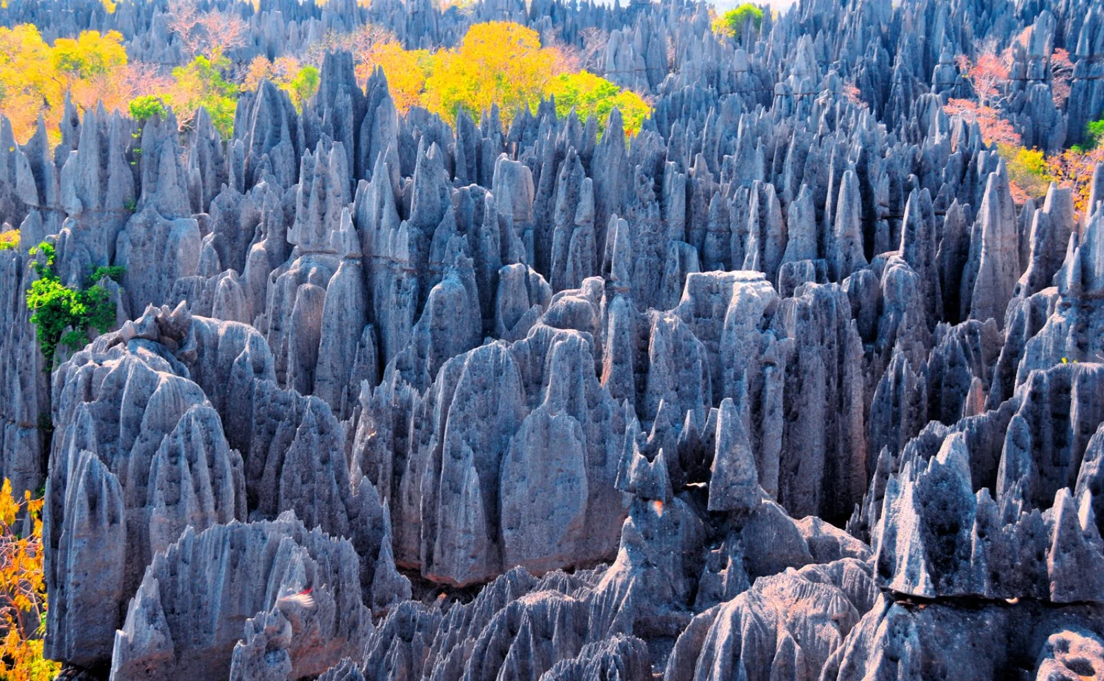 Tour Natura E Spiagge 