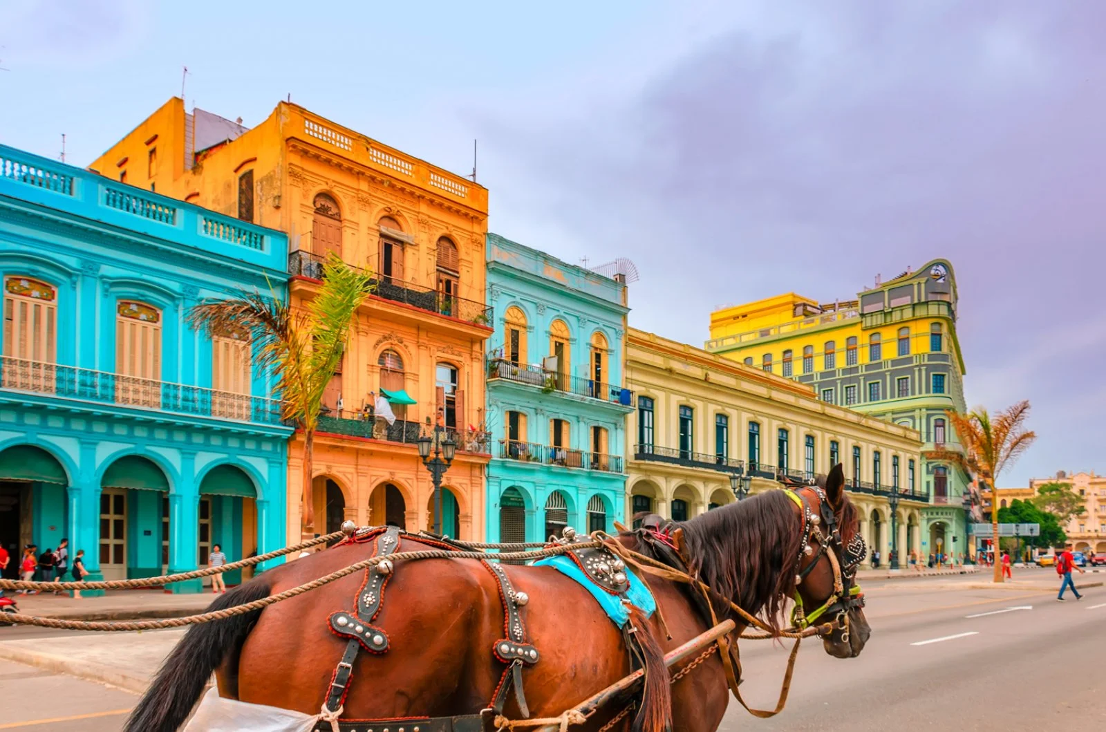 Intour Classico Coloniale - L'Avana