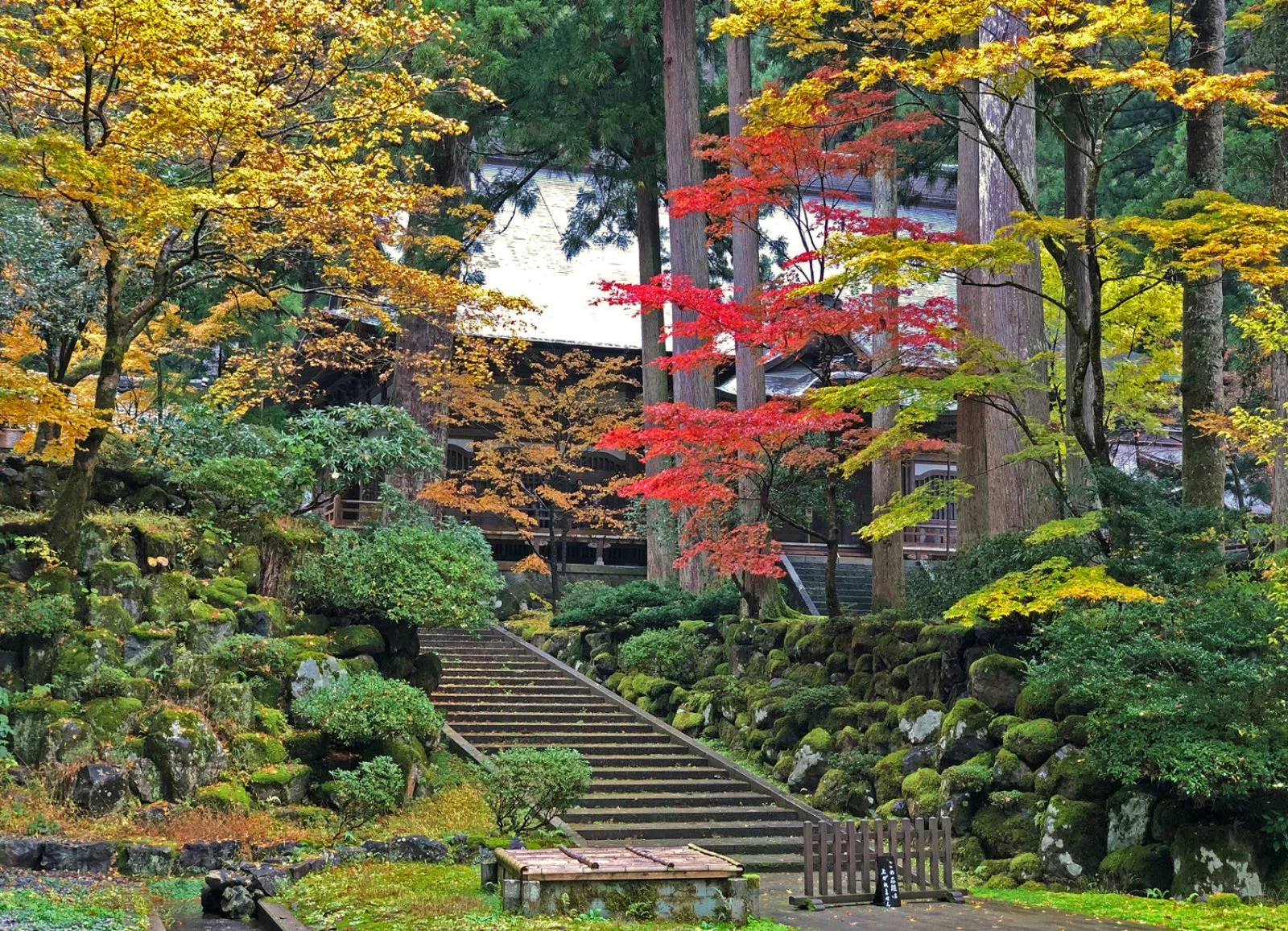 Fukui