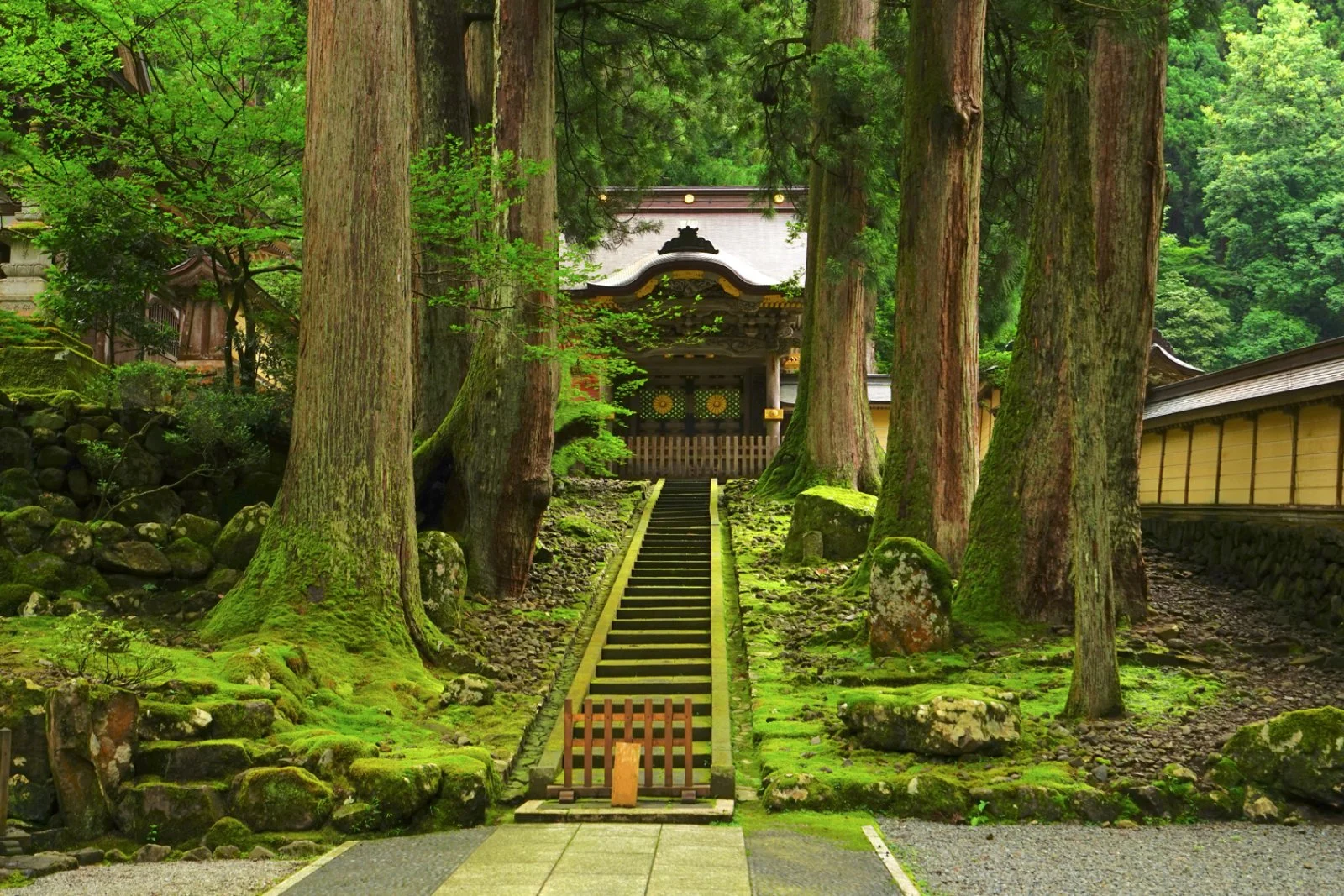 Fukui - Tokyo