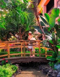 SECRETS BAHIA REAL RESORT – La oliva