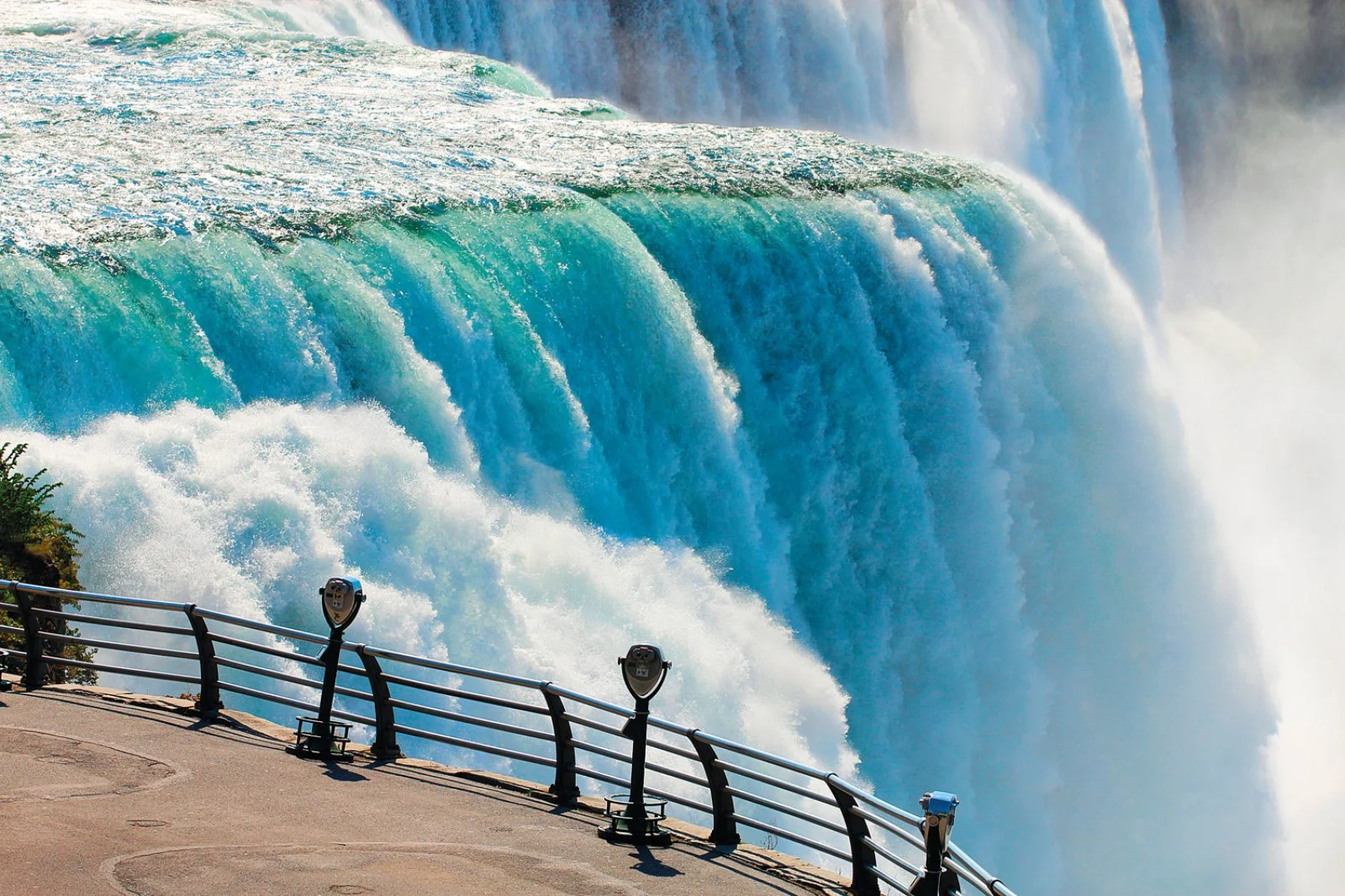 Toronto - Cascate del Niagara - Toronto