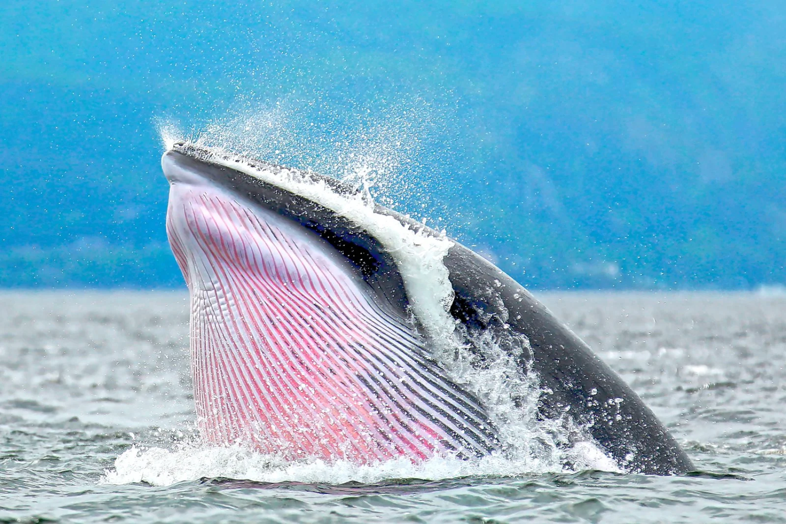 Saguenay - Tadoussac - Quebec City