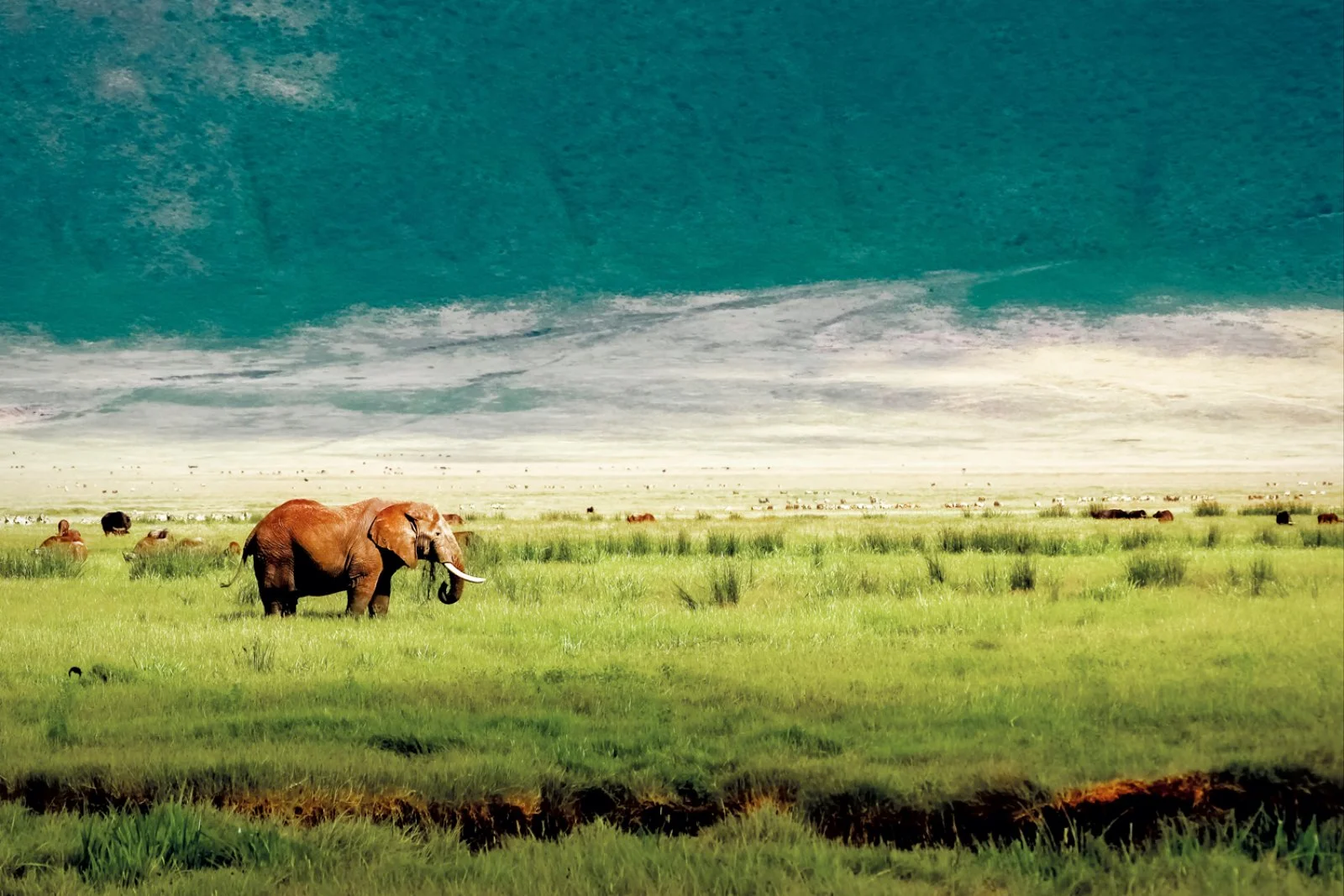 Serengeti - Ngorongoro
