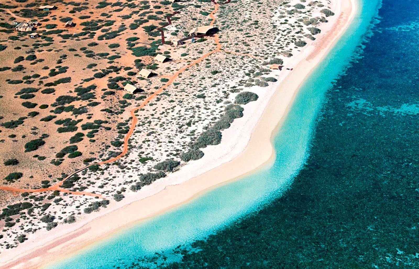 Monkey Mia - Carnarvon