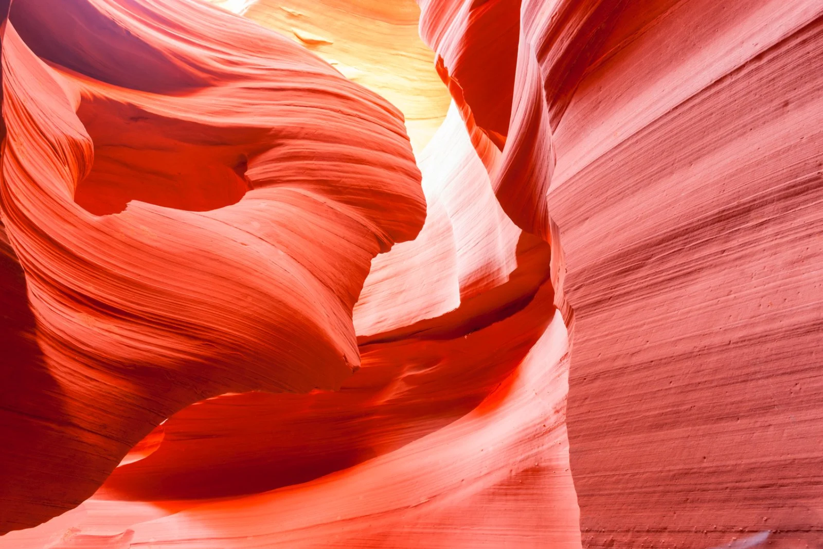 Voyager Pacific Voyager Pacific