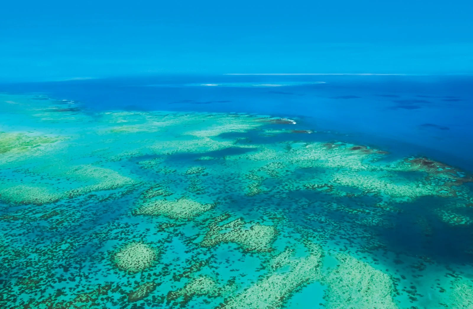 Grande Barriera Corallina