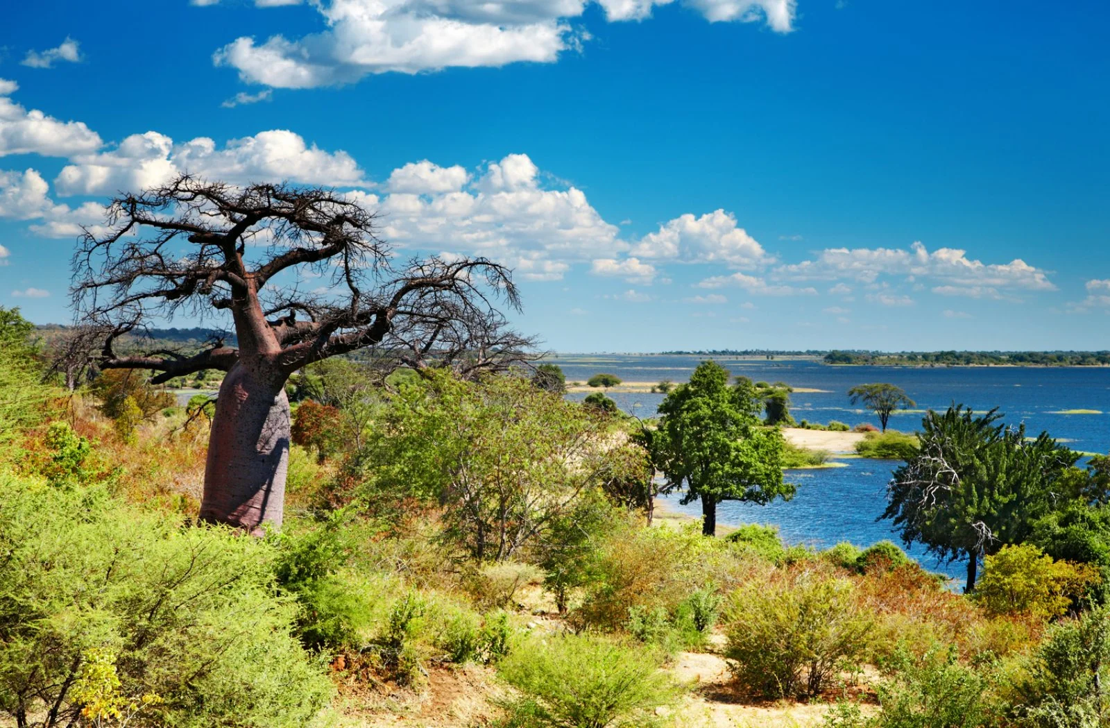 Delta dell'Okavango