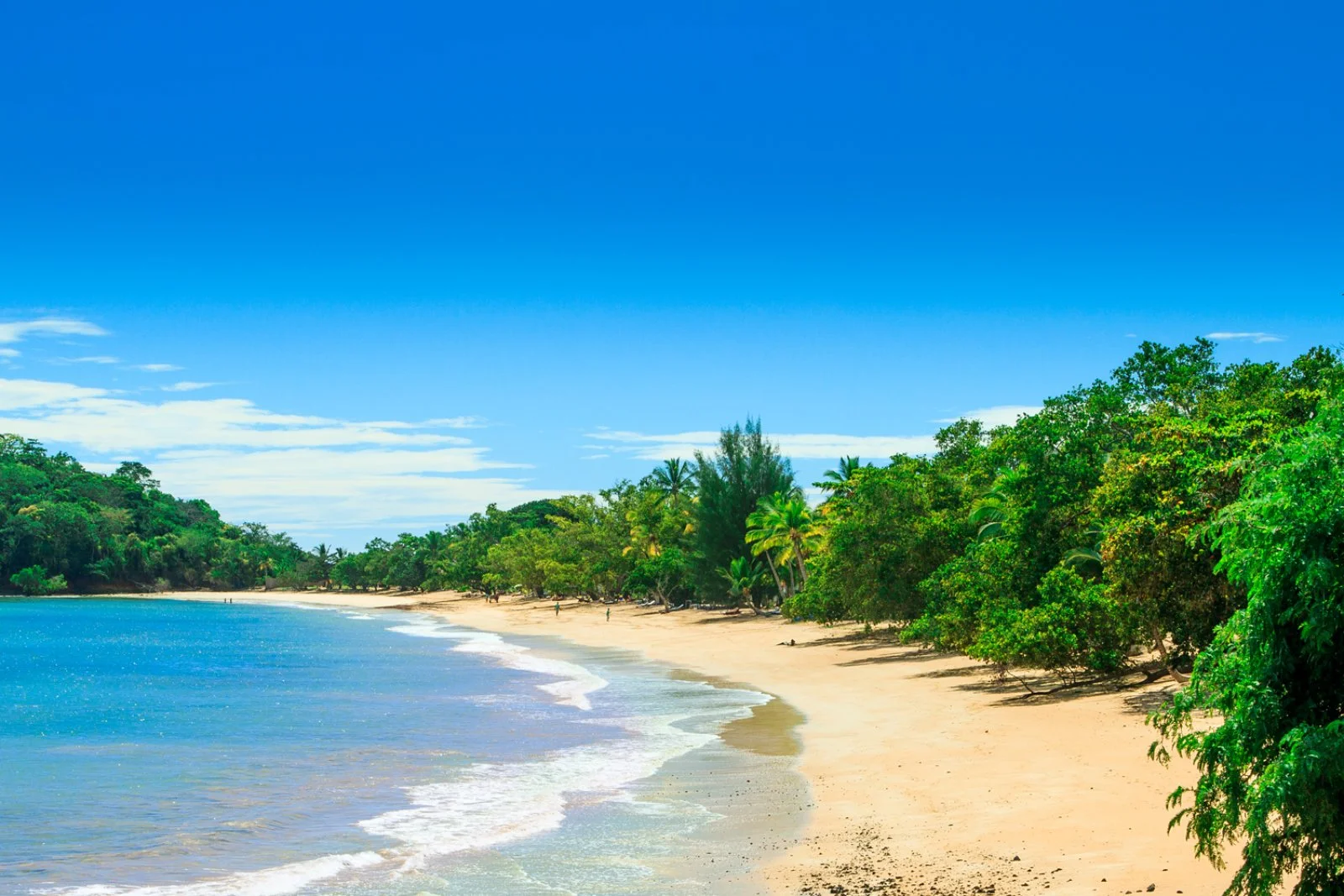 Tour Discovery Madagascar 