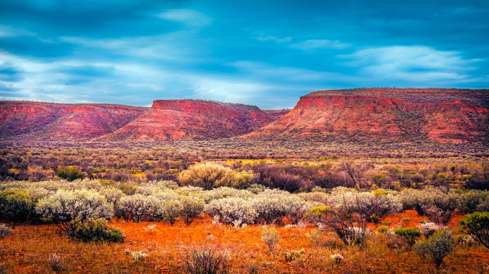 Alice Springs - Kings Canyon