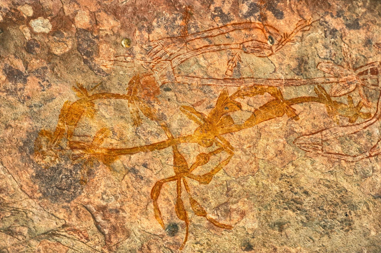 Avventura Nell'Outback 