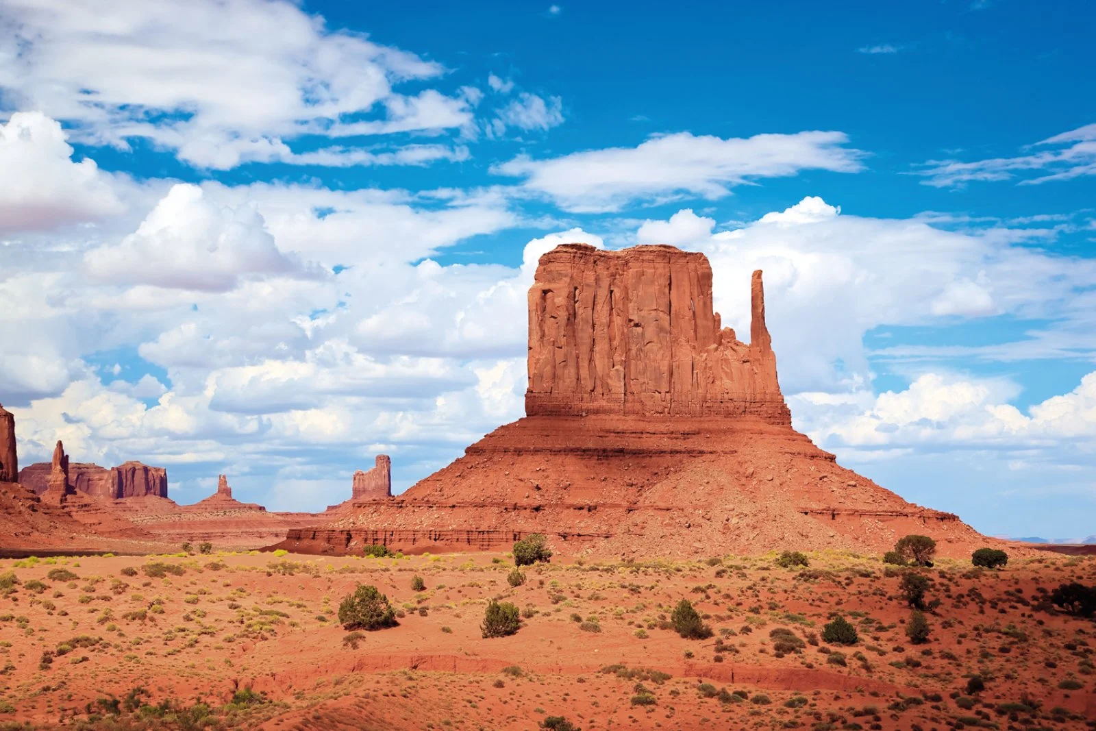 Magnifico West 