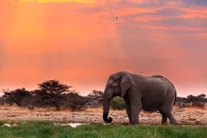 VOYAGER NAMIBIA – Windhoek