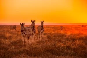 VOYAGER NAMIBIA – Windhoek
