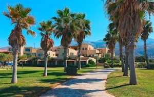 Area Village