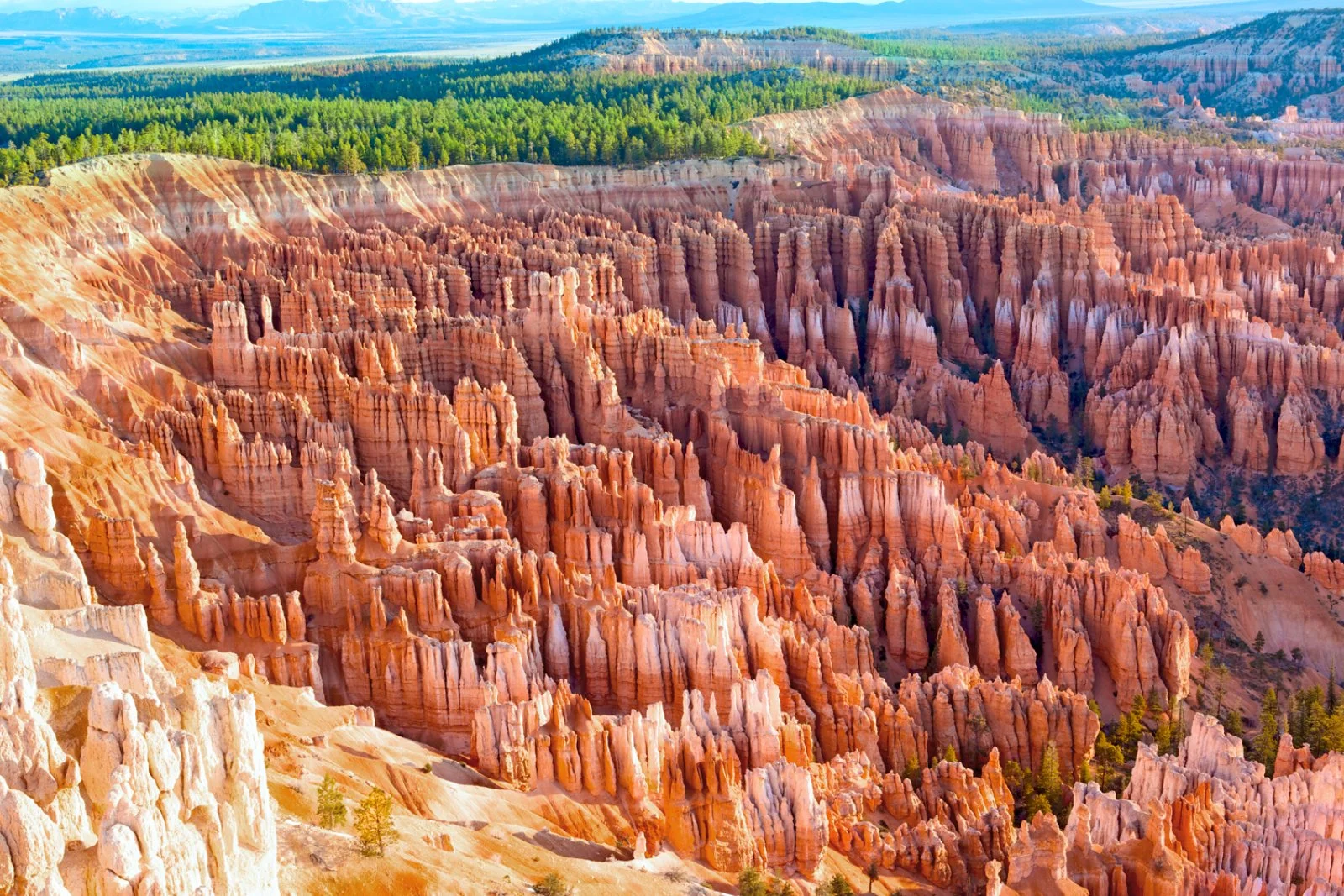 Page - Bryce Canyon