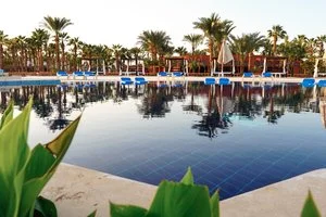 Calimera Blend Paradise