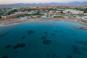 Calimera Blend Paradise