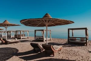 Calimera Blend Paradise