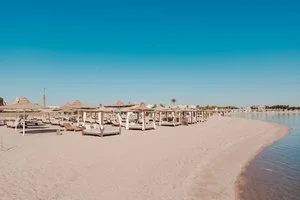 Calimera Blend Paradise