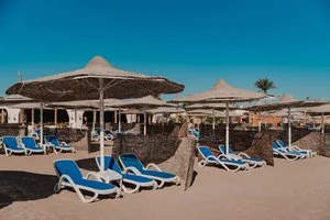 Calimera Blend Paradise
