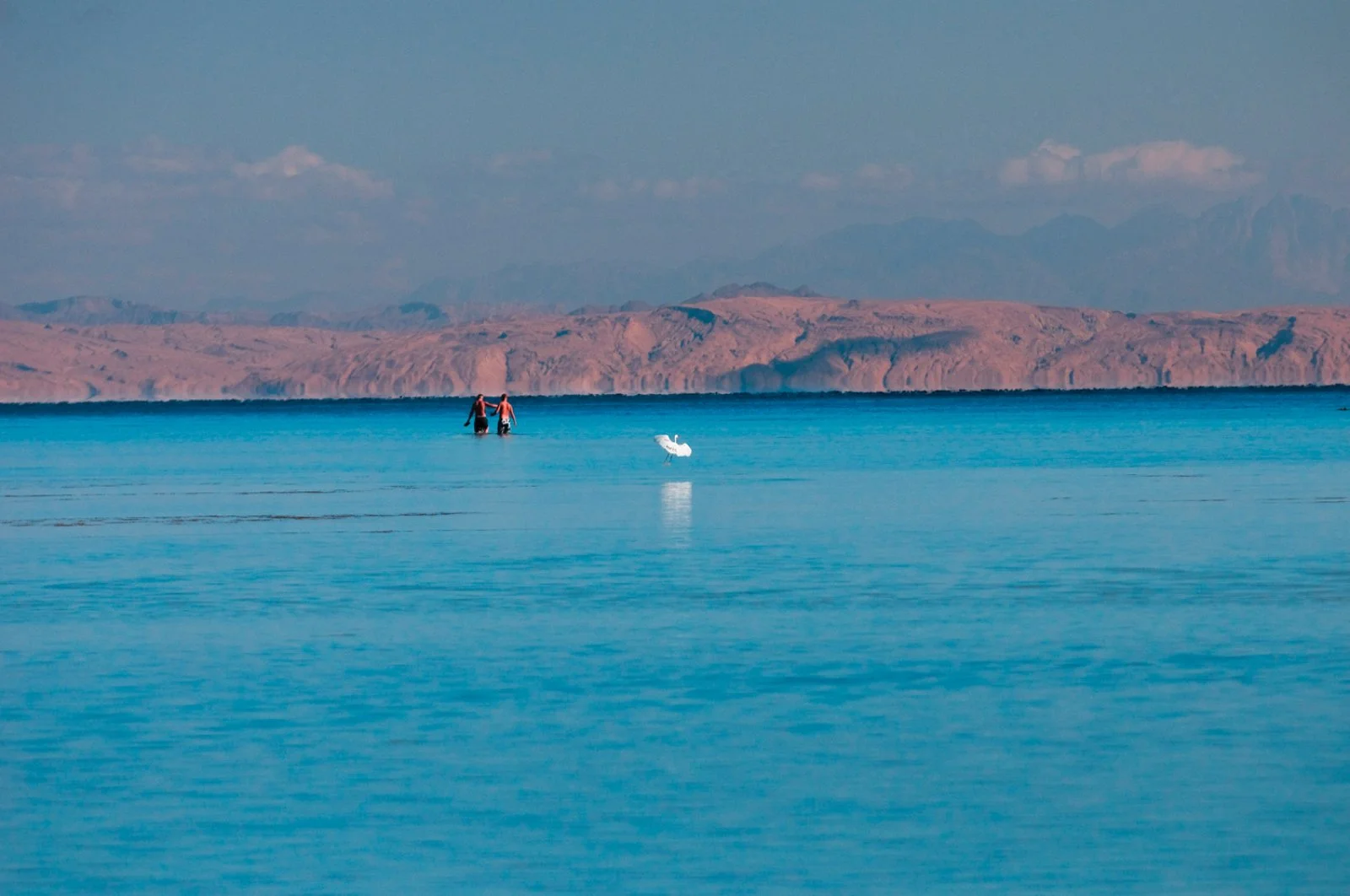 Amwaj Oyoun Beach Resort 