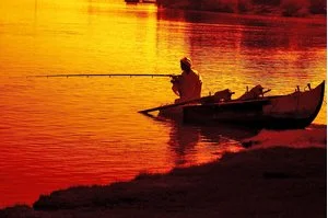 Aswan