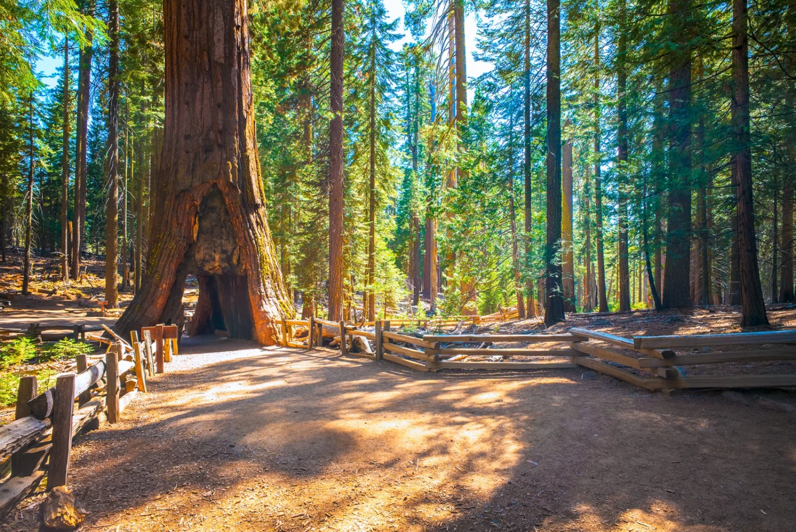 Madera - San Francisco - immagine 2 di 6