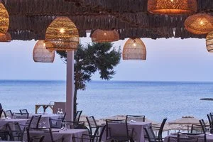 Diogenis Beach Bar & Restaurant