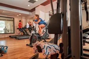 Palestra