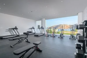 Palestra