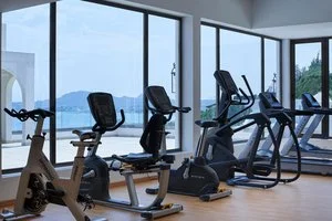 Palestra