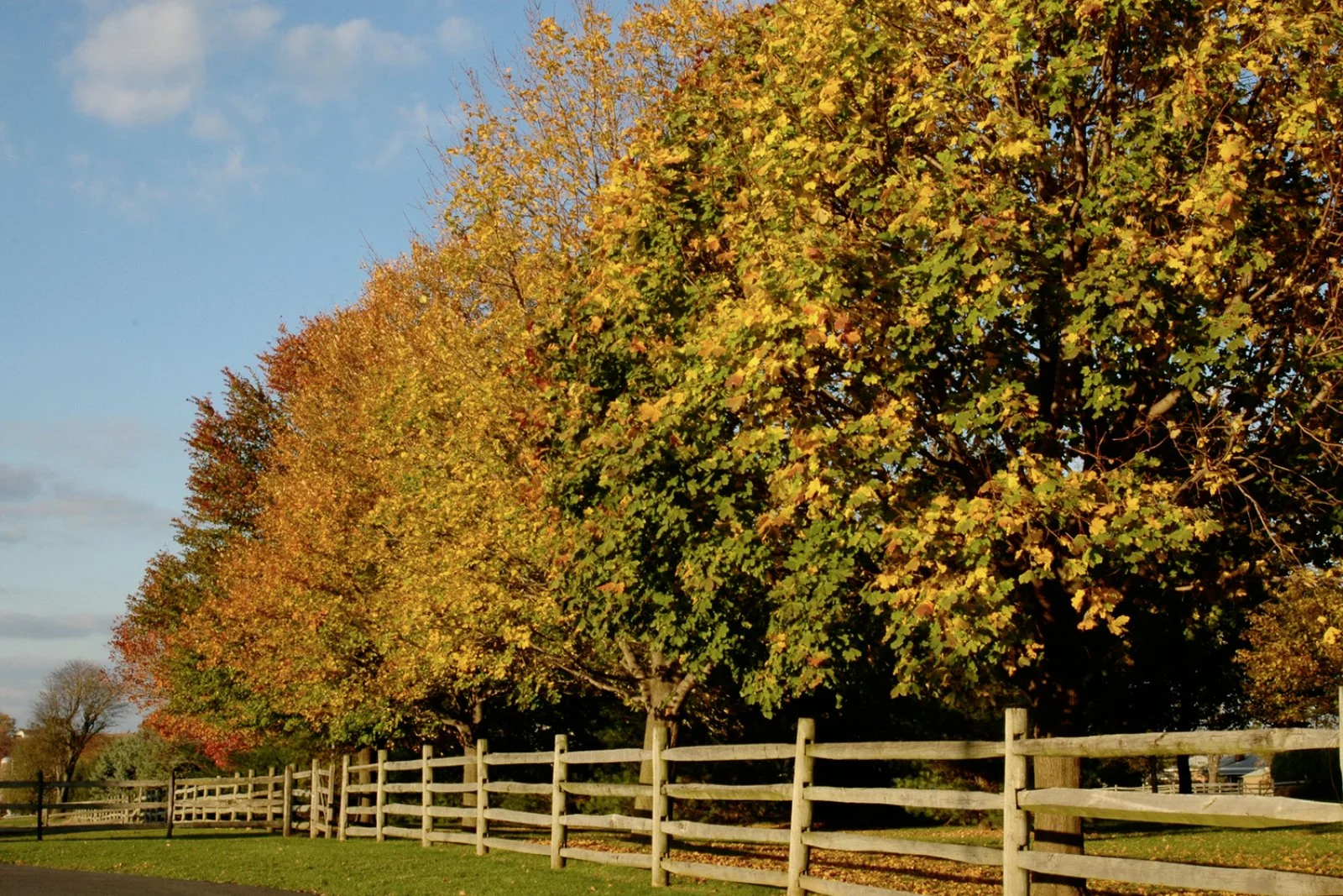 Niagara Falls - Lancaster