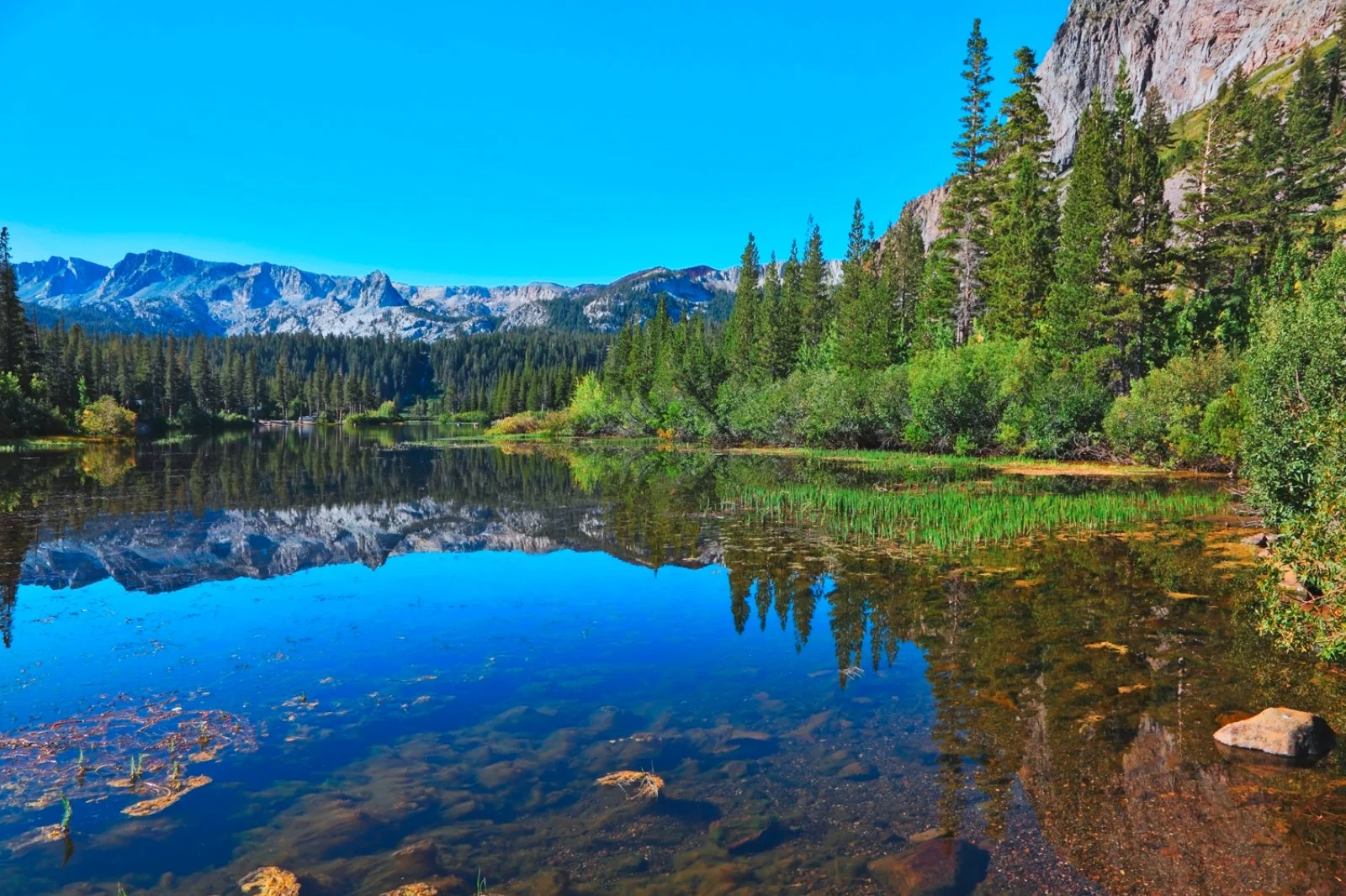 Las Vegas - Mammoth Lakes