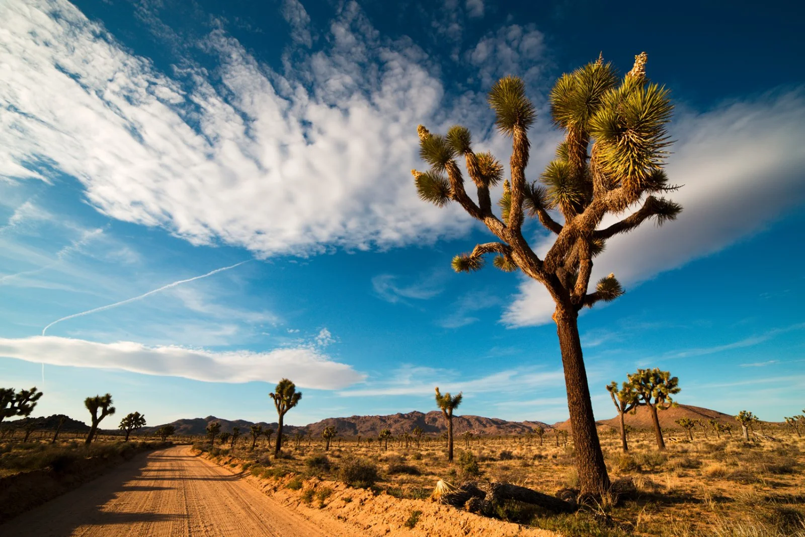 Palm Springs - Lake Havasu