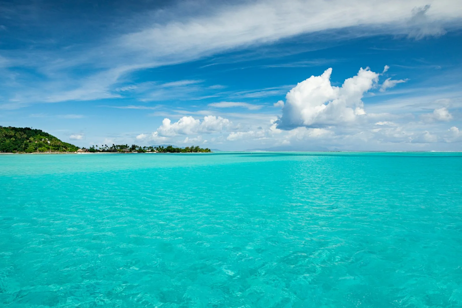 Polinesia Like A Local - Comfort 