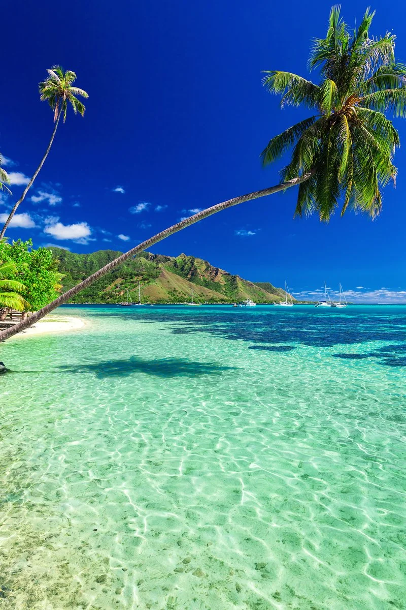 Tahiti - Moorea