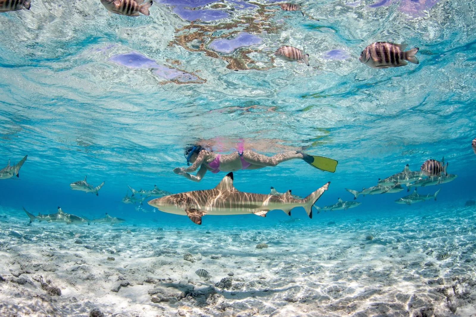 Bora Bora