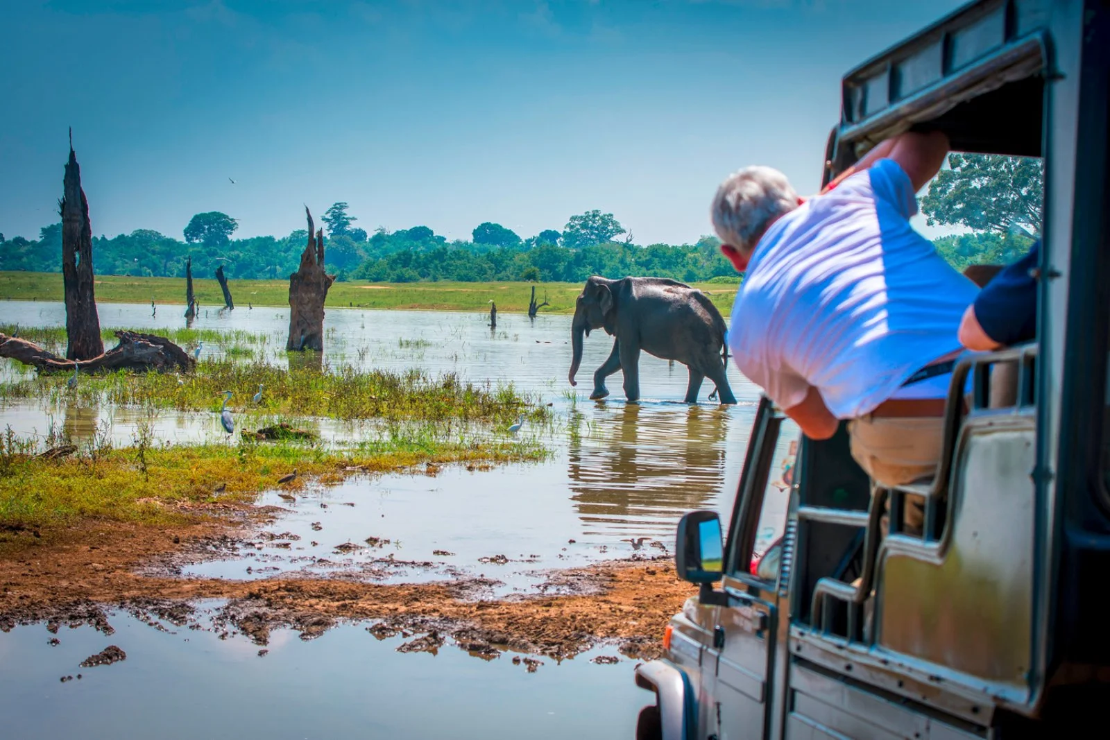 Udawalawe - Galle - Kalutara - immagine 1 di 2