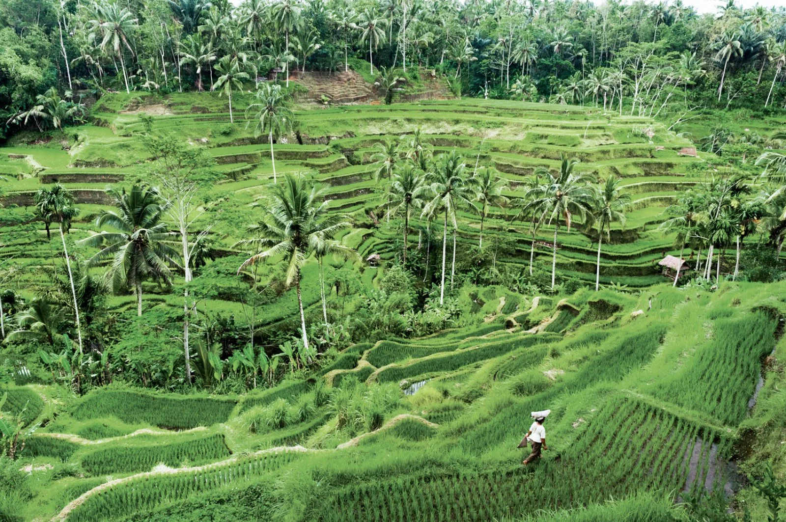 Ubud - Besakih - Gunung Kawi - Tegalalang - Ubud