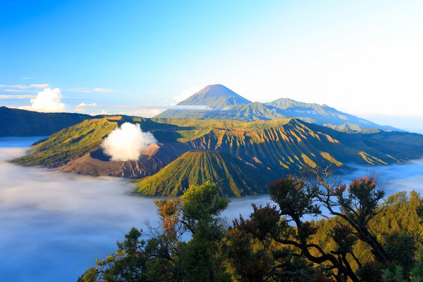 Bromo - Ijen