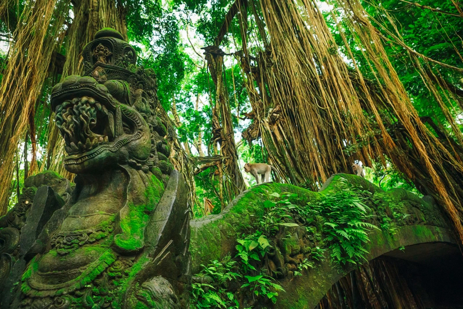 Ubud - Kintamani - Besakih - Ubud