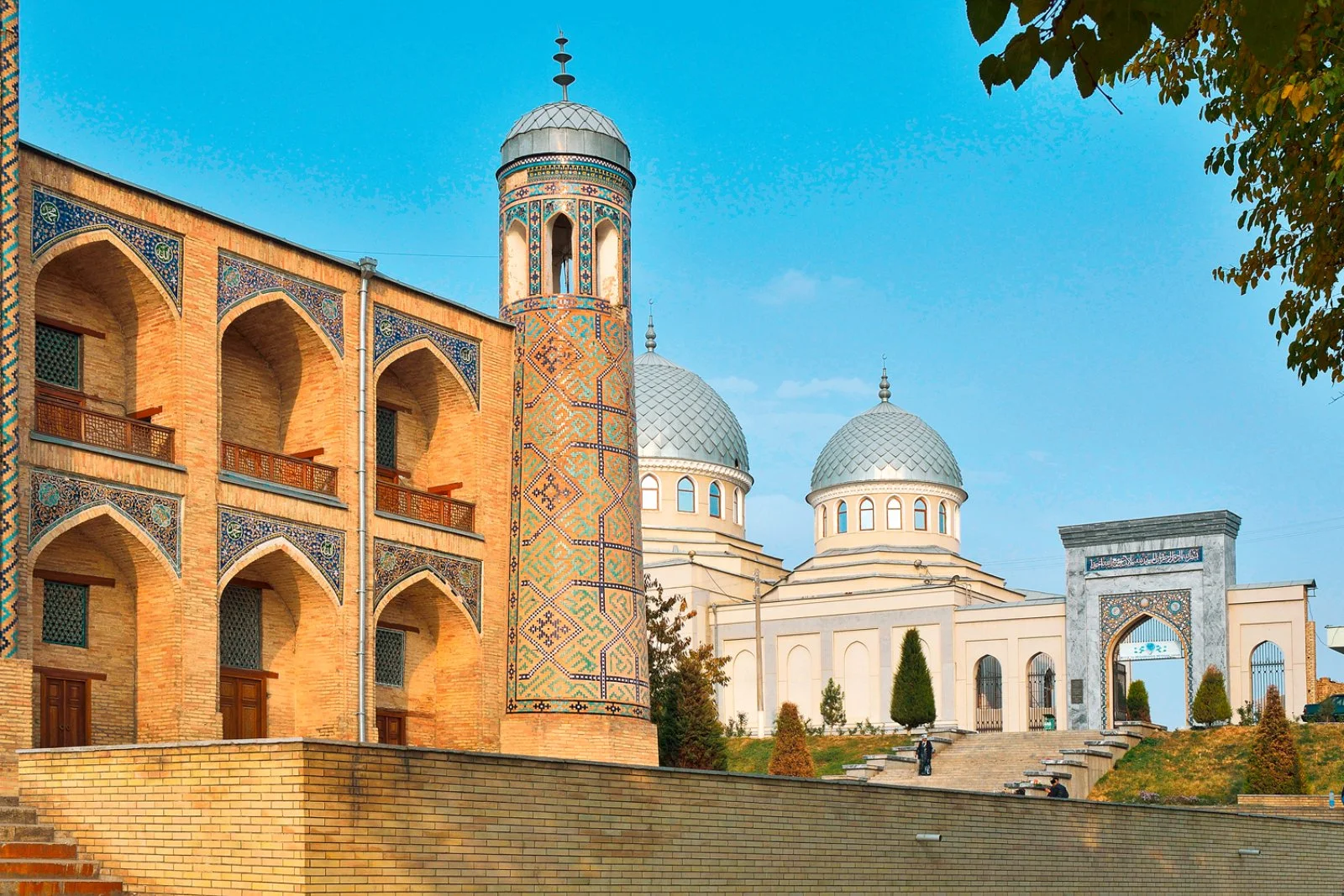 Tashkent/Italia - immagine 2 di 2