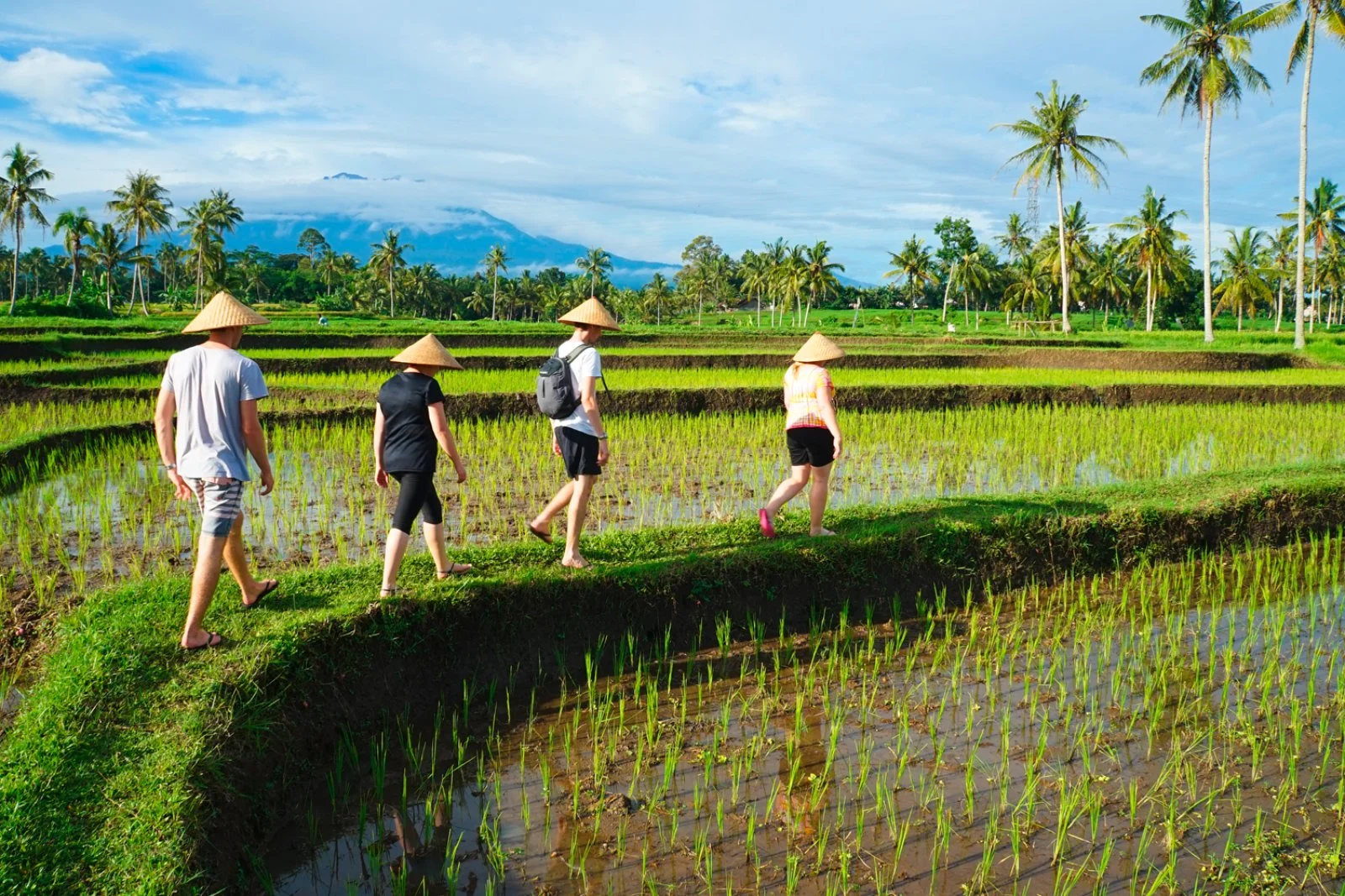 Banyuwangi - Ijen - Ubud