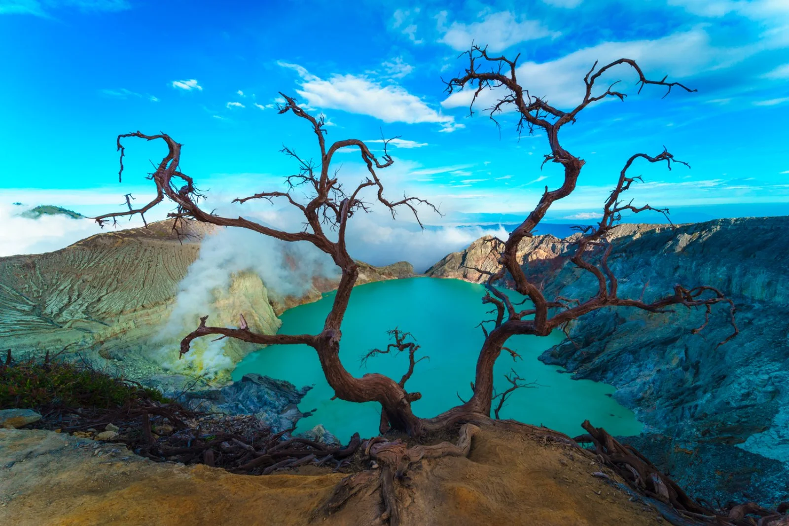 Ubud - Jatiluwih - Candikuning - Ulun Danu - Tanah Lot - Ubud