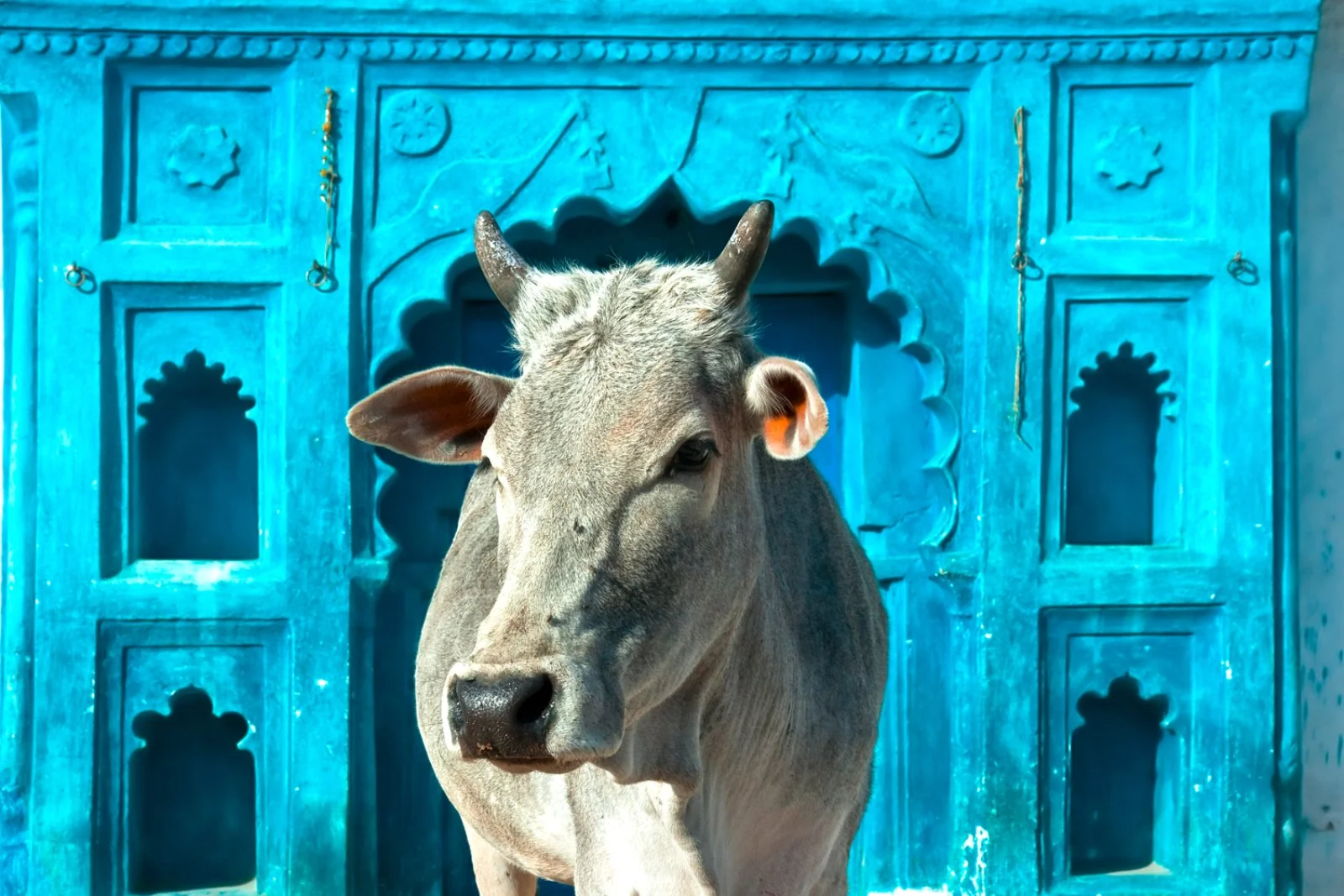 Orchha - Khajuraho - immagine 2 di 2